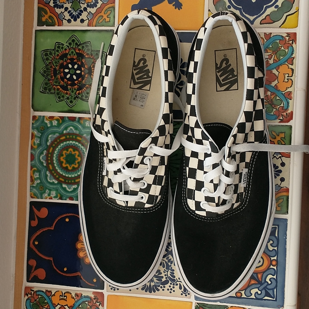 Vans (Black/White Checkerboard) Skate Shoes 13